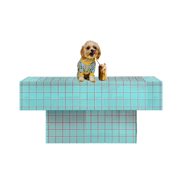 Dog Friendly Coffee Shop