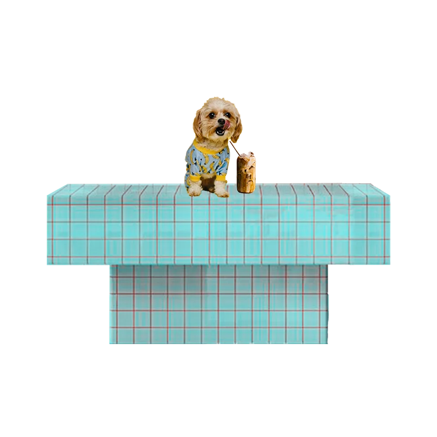 Dog Friendly Coffee Shop